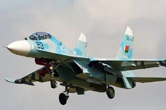 Chiến đấu cơ Su-27 trong biên chế Không quân Belarus. (Ảnh: pixstel.com)