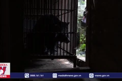 Ảnh chụp màn hình