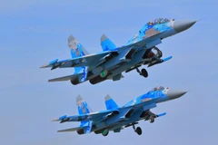 Máy bay tiêm kích Su-27 của Nga. (Ảnh: The National Interest)