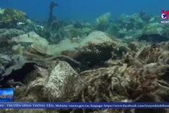 Ảnh chụp màn hình