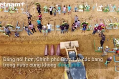 Ảnh chỉ có tính minh họa.