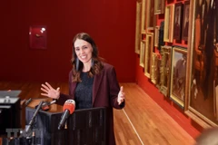 Thủ tướng New Zealand Jacinda Ardern phát biểu tại Wellington. (Ảnh: THX/TTXVN)