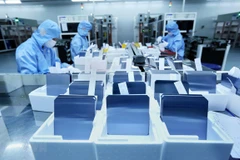 Ảnh chỉ có tính minh họa. (Ảnh: Danh Lam/TTXVN)