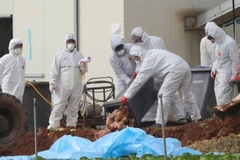 Ảnh chỉ có tính minh họa. (Nguồn: AsiaOne)