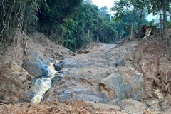 Đoạn rừng núi cây cối kín cây cối kín dày đặc trước đây sau sạt lở, dòng nước trôi cuốn sạch cây rừng chỉ còn trơ đá núi. (Ảnh: Thủy Trần/Vietnam+)