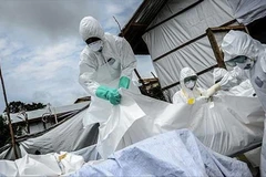 Ảnh chỉ có tính minh họa. (Nguồn: Anadolu Agency)