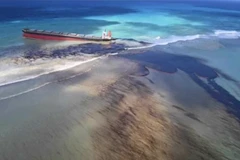 Ảnh tàu chở hàng Nhật Bản bị tràn dầu. (Ảnh: Maritime Observer)