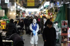 Hàn Quốc xác nhận thêm 518 ca dương tính với SARS-CoV-2