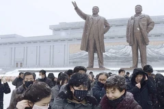 Ảnh chỉ có tính minh họa. (Nguồn: Kyodo News)