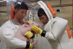 Ảnh chỉ có tính minh họa. (Nguồn: SCMP)