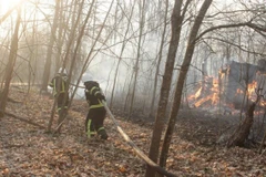 Lực lượng chữa cháy dốc sức kiềm chế ngọn lửa. (Ảnh: Times News24)
