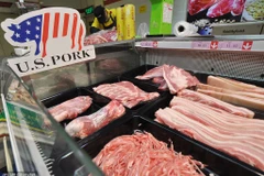 Ảnh chỉ có tính minh họa. (Nguồn: Al Jazeera)