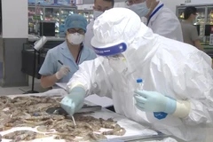 Ảnh chỉ có tính minh họa. (Nguồn: CGTN)