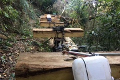 Hiện trường vụ bắt giữ 11 đối tượng khai thác và vận chuyển gỗ trái phép. (Ảnh: Cao Nguyên/TTXVN)