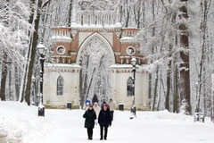 Người dân thích thú đi dạo trong công viên. (Ảnh: Trần Hiếu/TTXVN)