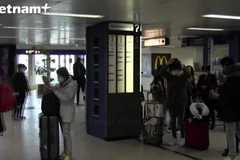 (Ảnh: Vietnam+)