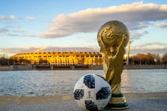 Ảnh chỉ có tính minh họa. (Nguồn: The Conversation)