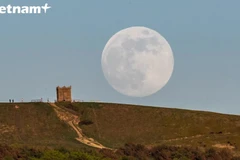 (Ảnh chụp màn hình)