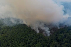 Ảnh chỉ có tính minh họa. (Nguồn: CTV)