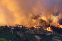 Ảnh chỉ có tính minh họa. (Nguồn: The Straits Times)