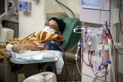 Ảnh chỉ có tính minh họa. (Nguồn: LA Times)