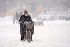 Ảnh chỉ có tính minh họa. (Nguồn: bta)