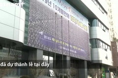 (Ảnh: VietnamPlus)