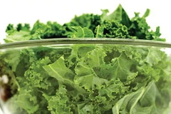 (Ảnh: Đẹp/Vietnam+)