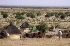 Thị trấn biên giới Adre của Chad. (Ảnh: AFP)