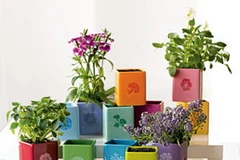 (Ảnh minh họa: Internet)