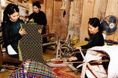 (Ảnh minh họa: Trần Tuấn/TTXVN) 