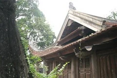 Đình Đông Ngạc ẩn hiện dưới các vòm cây cổ thụ xanh tươi bốn mùa. (Ảnh: Internet)