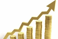 (Ảnh minh họa: Internet)