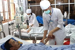 Ảnh minh họa. (Nguồn: Hữu Oai/TTXVN) 