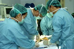 Ảnh chỉ mang tính minh họa. (Nguồn: Đình Trân/TTXVN) 