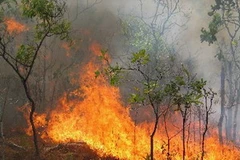 Ảnh minh họa. (Nguồn: Internet)