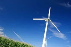 Ảnh minh họa. (Nguồn: Internet)