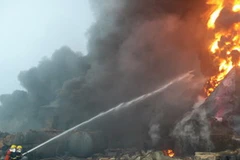 (Ảnh minh họa: Internet)