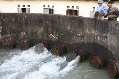 Bơm nước tưới cho gần 400 ha lúa, hoa màu vụ đông xuân 2009 -2010 xã Nga Thắng. (Ảnh:Đình Huệ/TTXVN) 