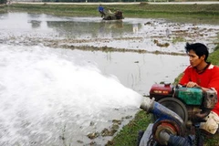 Bơm nước phục vụ cấy lúa xuân. (Ảnh: Đình Huệ/TTXVN) 
