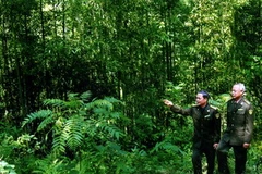 Cán bộ Chi cục kiểm lâm Bắc Kạn kiểm tra tại khu rừng trồng ở huyện Na Rì. (Ảnh: Ngô Lịch/TTXVN) 