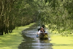 Du khách tham quan rừng tràm bằng ghe ngo trong mùa nước nổi. (Ảnh: Nhật Anh/TTXVN) 