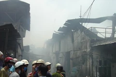 (Ảnh minh họa: Thế Vinh/TTXVN) 