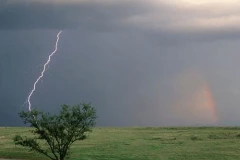 Bắc Ninh: Hai người bị sét đánh tử vong trên cánh đồng