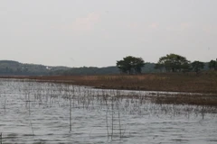 (Ảnh minh họa: K GỬIH/TTXVN)