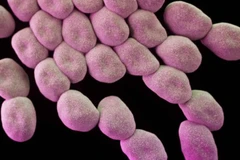 Ảnh minh họa. (Nguồn: CNN)