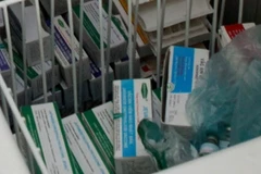 Vắcxin tiêm phòng bệnh viêm gan B cho trẻ. (Ảnh: Dương Ngọc/TTXVN)