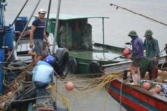Ngư dân đang khẩn trương neo đậu tàu thuyền tại xã Thái Thượng, huyện Thái Thụy, Thái Bình để tránh trú bão số 1. (Ảnh: Thu Hoài/TTXVN)