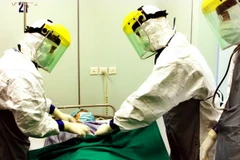 (Ảnh minh họa: Dương Ngọc/TTXVN)