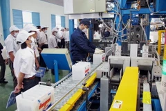 (Ảnh minh họa: Thế Anh/TTXVN)